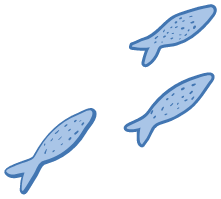 Group of fish graphic