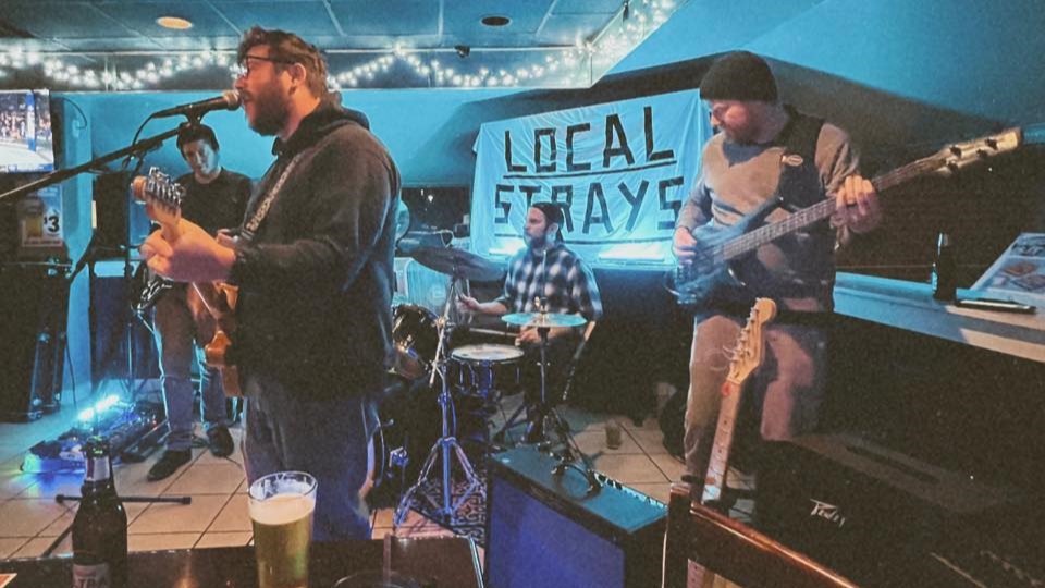 Local Strays band photo