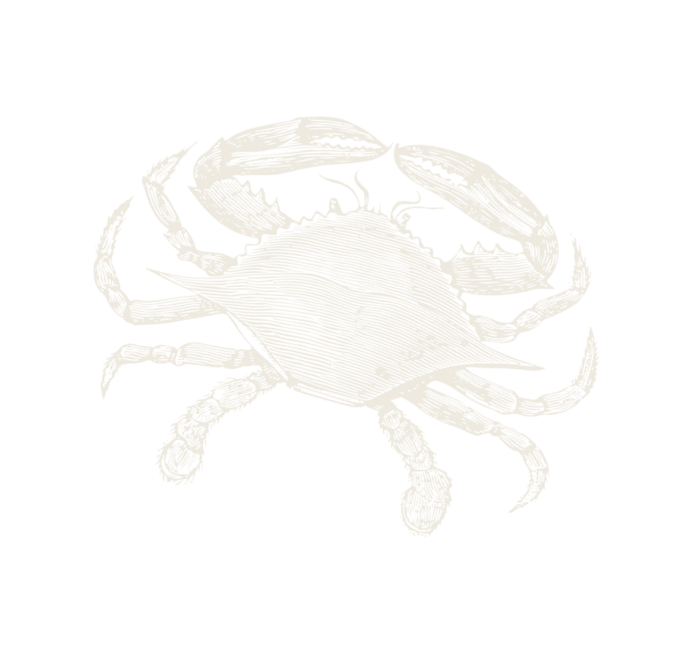 Crab graphic
