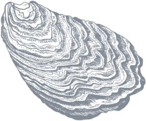 Dark oyster graphic